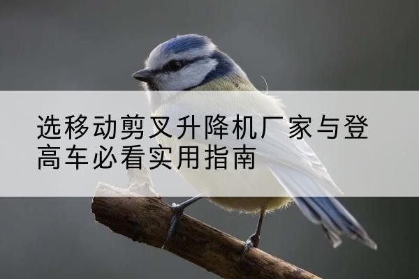 拱墅电动升降机厂家-选移动剪叉升降机厂家与登高车必看实用指南
