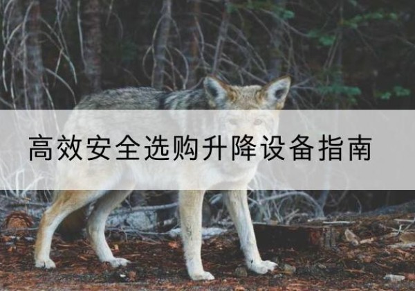 拱墅升降货梯厂家推荐-*安全选购升降设备指南